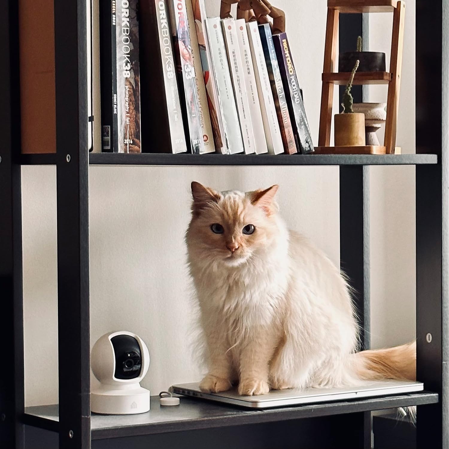 Kasa Indoor Pan/Tilt Smart Security Camera, 1080p HD Dog-Camera,2.4GHz with Night Vision,Motion Detection for Baby and Pet Monitor, Cloud & SD Card Storage, Works with Alexa& Google Home (EC70), White White New 1080P