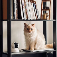 Kasa Indoor Pan/Tilt Smart Security Camera, 1080p HD Dog-Camera,2.4GHz with Night Vision,Motion Detection for Baby and Pet Monitor, Cloud & SD Card Storage, Works with Alexa& Google Home (EC70), White White New 1080P