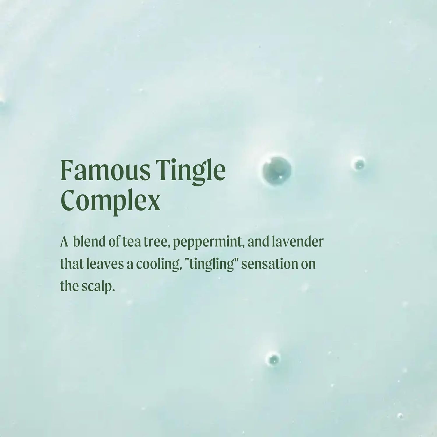 Tea Tree Special Shampoo, Deep Cleans, Refreshes Scalp, For All Hair Types, Especially Oily Hair 33.8 Fl Oz (Pack of 1)