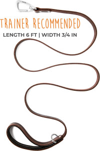 Mighty Paw Leather Dog Leash for Large Breeds - Soft Padded Handle - Extra D-Ring for Waste Bags - Strong Climbers Clip - 6 Ft Dog Leashes for Large Breeds - Leather Lead - Brown
