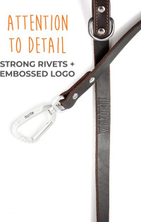 Mighty Paw Leather Dog Leash for Large Breeds - Soft Padded Handle - Extra D-Ring for Waste Bags - Strong Climbers Clip - 6 Ft Dog Leashes for Large Breeds - Leather Lead - Brown