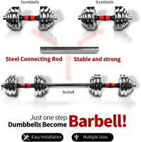 Adjustable Dumbbells Set 44 LB / 66 LB / 110 LB Home Weight Lifting Professional Dumbbells for Body Workout Home Gym Fitness with Carry Case 66.0 Pounds