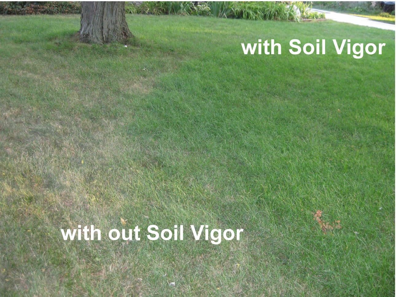 Commercial Grade Super Absorbent Polymer Potassium Based Water Crystal (1 Pound)