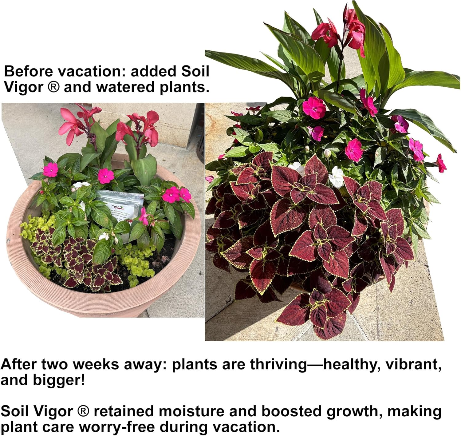 Commercial Grade Super Absorbent Polymer Potassium Based Water Crystal (1 Pound)