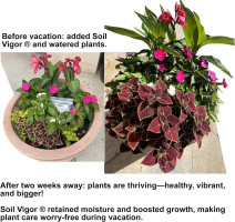 Commercial Grade Super Absorbent Polymer Potassium Based Water Crystal (1 Pound)