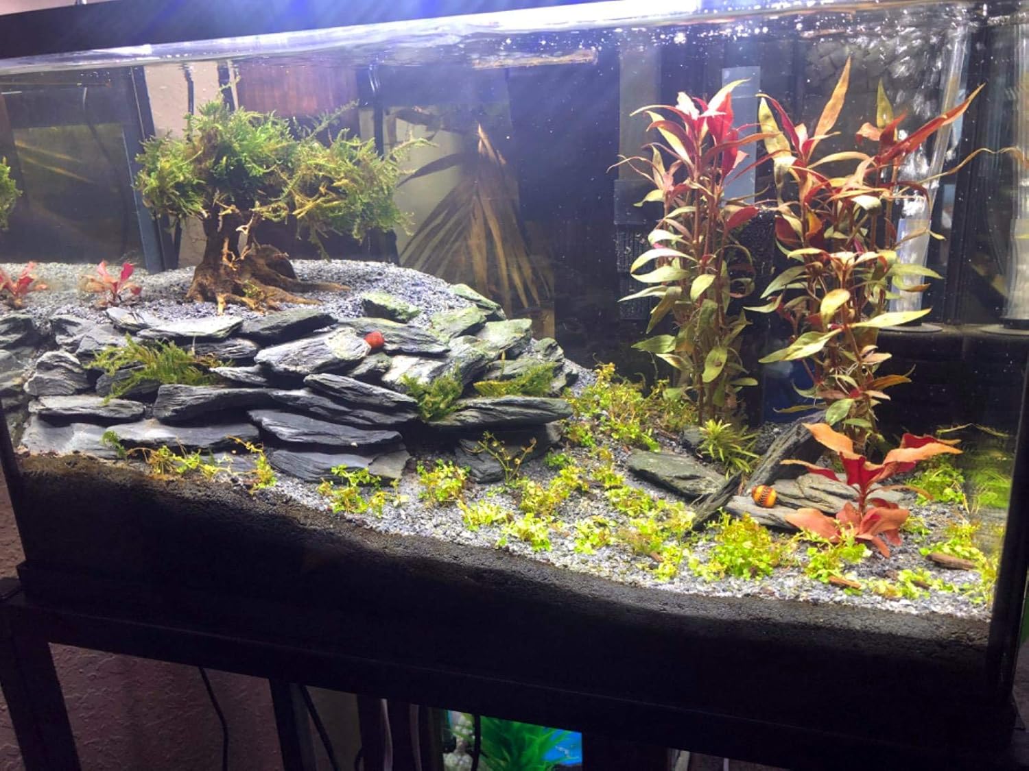 Voulosimi Natural Slate Rocks PH Neutral Stone Perfect Rocks for Aquariums, Landscaping Model,Tank Decoration,Amphibian Enclosures (10 LB, 3-5 inch) 3-5 inch 10 LB