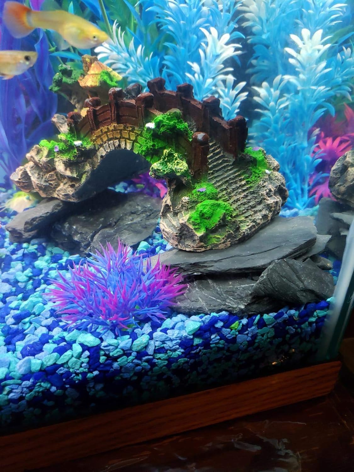 Voulosimi Natural Slate Rocks PH Neutral Stone Perfect Rocks for Aquariums, Landscaping Model,Tank Decoration,Amphibian Enclosures (10 LB, 3-5 inch) 3-5 inch 10 LB