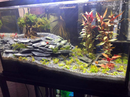 Voulosimi Natural Slate Rocks PH Neutral Stone Perfect Rocks for Aquariums, Landscaping Model,Tank Decoration,Amphibian Enclosures (10 LB, 3-5 inch) 3-5 inch 10 LB