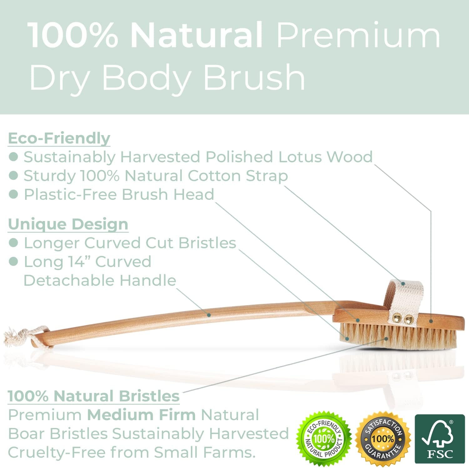 Premium Boar Brush by Zen Me, Exfoliating Brush with Medium Firm Natural Bristles for Cellulite and Lymphatic, Body Scrub Brush with Detox eBook Gift