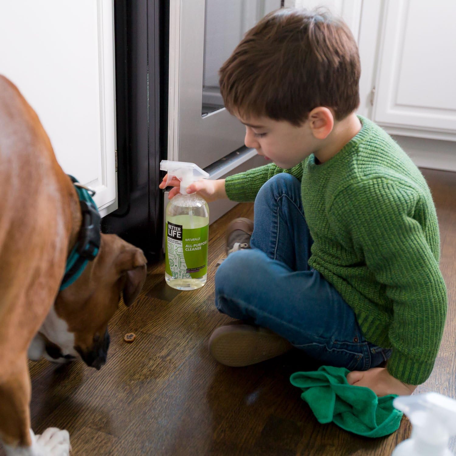 Better Life Natural All-Purpose Cleaner, Clary Sage & Citrus, 32 oz 32 Fl Oz (Pack of 1)