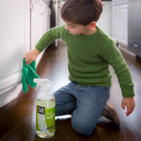 Better Life Natural All-Purpose Cleaner, Clary Sage & Citrus, 32 oz 32 Fl Oz (Pack of 1)