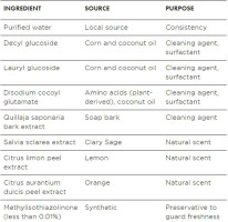 Better Life Natural All-Purpose Cleaner, Clary Sage & Citrus, 32 oz 32 Fl Oz (Pack of 1)