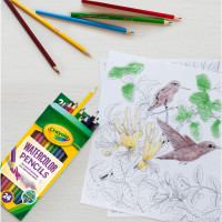 Crayola Watercolor Colored Pencils (24ct), Watercolor Paint Alternative, Watercolor Pencil Set for Kids, Art Supplies, Gift for Kids, 3+ 1 Count (Pack of 1)