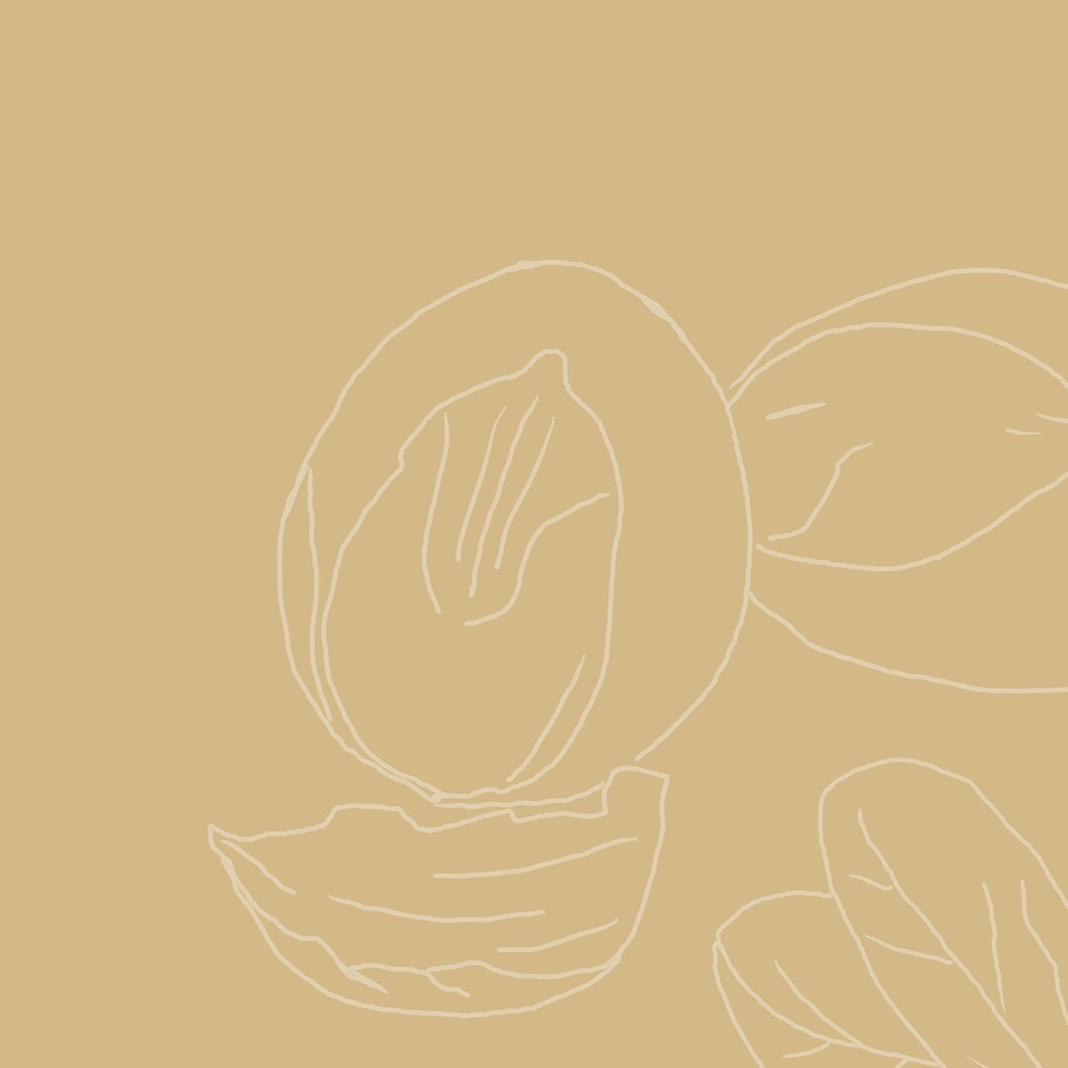 SheaMoisture Raw Shea Butter Deep Treatment Masque Hair Treatment, 12 Ounce