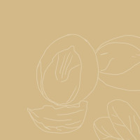 SheaMoisture Raw Shea Butter Deep Treatment Masque Hair Treatment, 12 Ounce