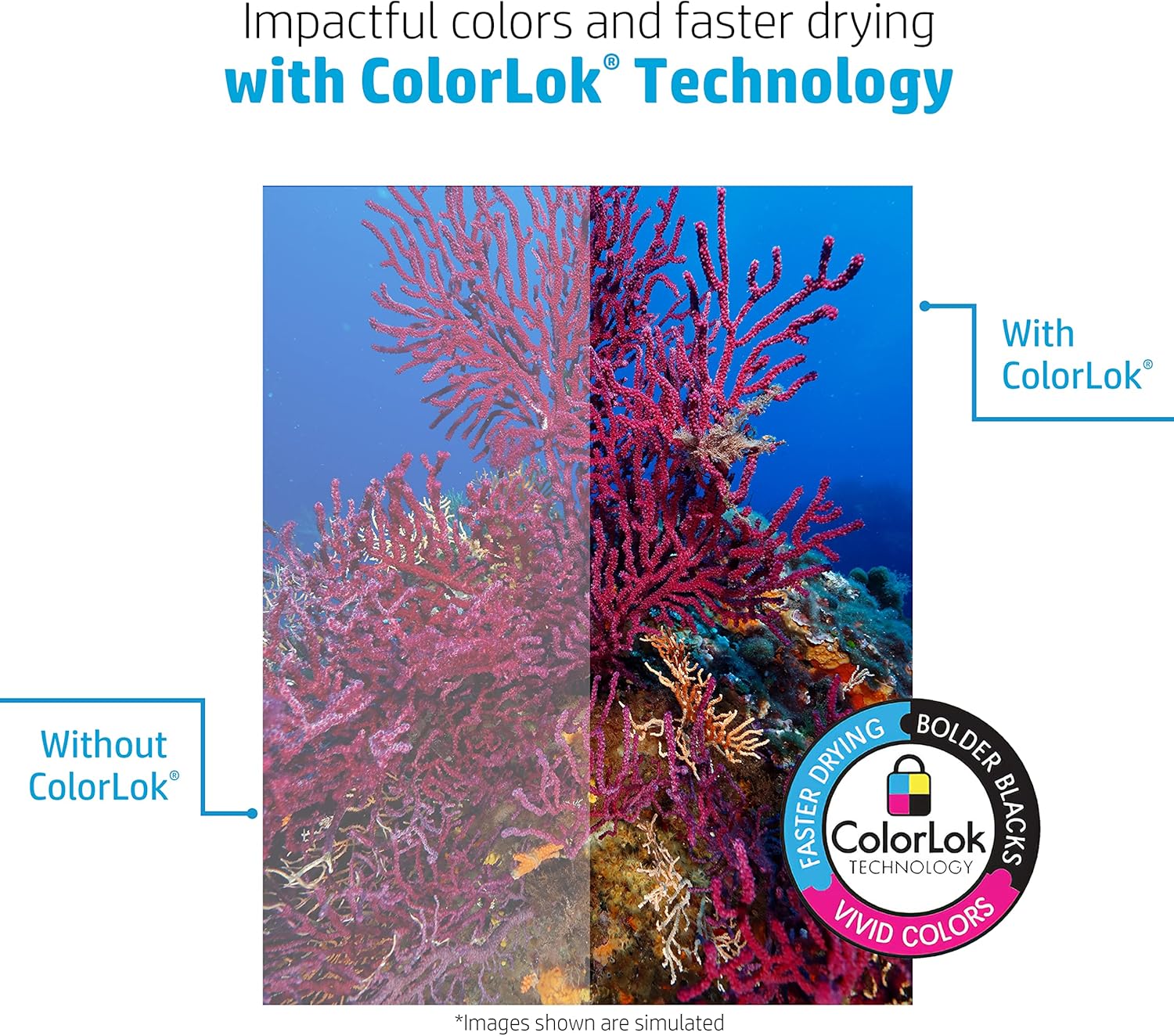 HP Printer Paper | 8.5 x 11 Paper | Copy &Print 20 lb | 10 Ream Case - 5,000 Sheets | 92 Bright | FSC Certified | 200060C 10 Pack | 5000 Sheets Standard Size (8.5x11)