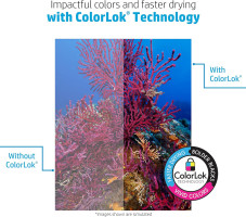 HP Printer Paper | 8.5 x 11 Paper | Copy &Print 20 lb | 10 Ream Case - 5,000 Sheets | 92 Bright | FSC Certified | 200060C 10 Pack | 5000 Sheets Standard Size (8.5x11)