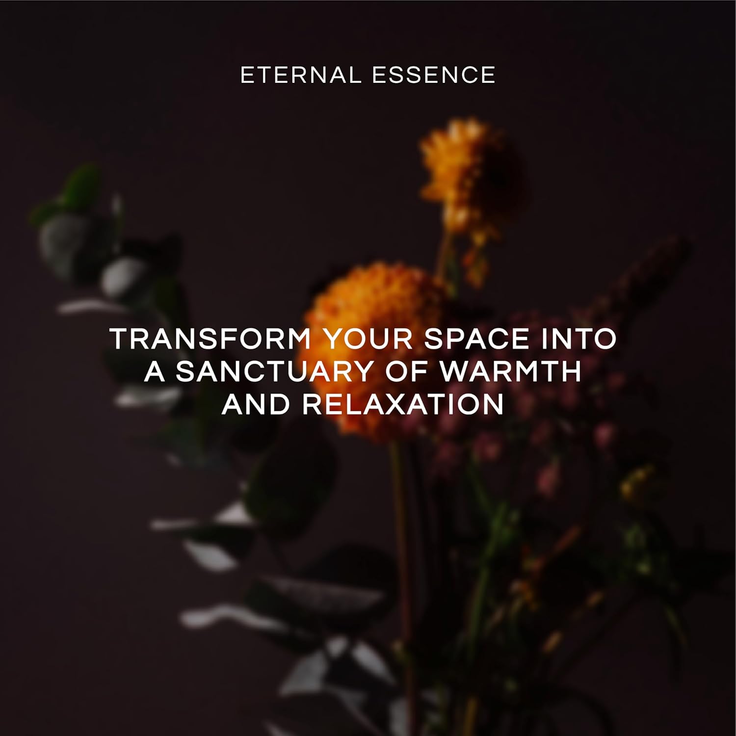 Eternal Essence Oils Her Secrets Set of 6 Premium Fragrance Oils - Includes Pretty, Dark Embrace, Forever Yours, Secret Crush, Pink Splash, and Sugar Kiss Scents Scented Oils - 10ML