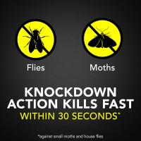 Raid Flying Insect Killer Mosquito and Fly Control No Lingering Chemical Odor Outdoor Fresh Scent 15 Ounce (Pack of 2)