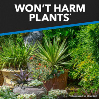 Raid Flying Insect Killer Mosquito and Fly Control No Lingering Chemical Odor Outdoor Fresh Scent 15 Ounce (Pack of 2)