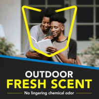 Raid Flying Insect Killer Mosquito and Fly Control No Lingering Chemical Odor Outdoor Fresh Scent 15 Ounce (Pack of 2)