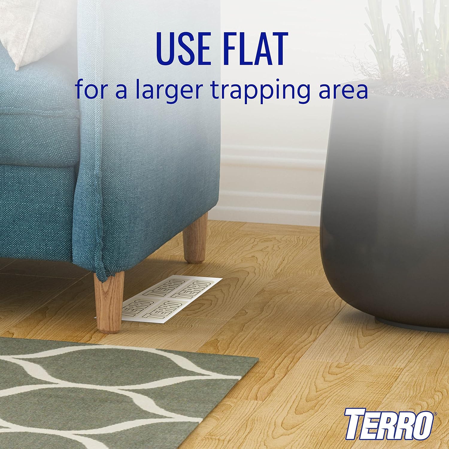 Terro T3206 Spider & Insect Traps Indoor, Insect Traps Indoor Sticky Pads, 4 Count (Pack of 1) 1 Pack