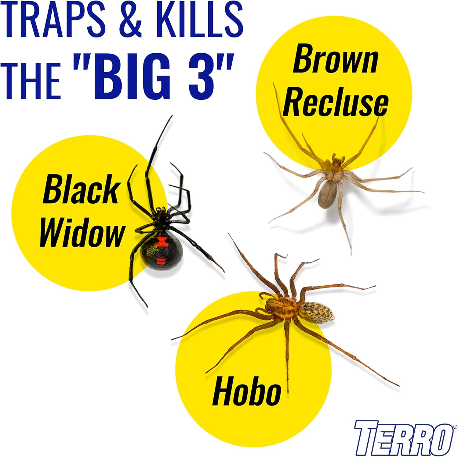 Terro T3206 Spider & Insect Traps Indoor, Insect Traps Indoor Sticky Pads, 4 Count (Pack of 1) 1 Pack