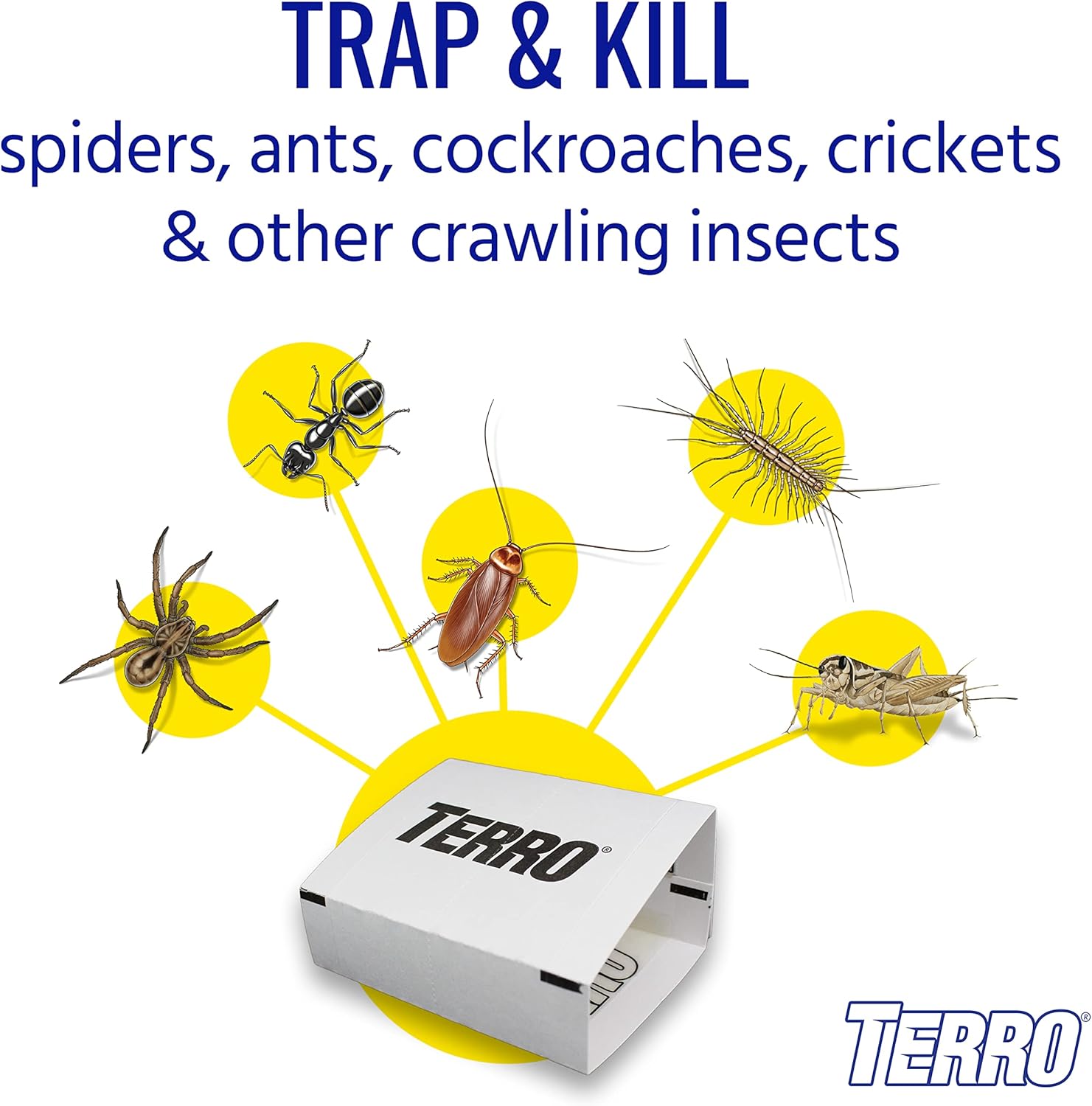 Terro T3206 Spider & Insect Traps Indoor, Insect Traps Indoor Sticky Pads, 4 Count (Pack of 1) 1 Pack