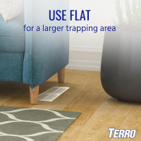 Terro T3206 Spider & Insect Traps Indoor, Insect Traps Indoor Sticky Pads, 4 Count (Pack of 1) 1 Pack