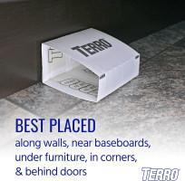 Terro T3206 Spider & Insect Traps Indoor, Insect Traps Indoor Sticky Pads, 4 Count (Pack of 1) 1 Pack