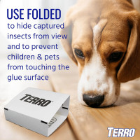 Terro T3206 Spider & Insect Traps Indoor, Insect Traps Indoor Sticky Pads, 4 Count (Pack of 1) 1 Pack