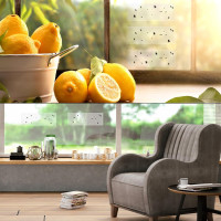 Faicuk 20-Pack Clear Window Fly Traps Sticky Flys Strip for Indoor Houseflies Nontoxic and Pesticide-Free