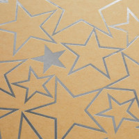 Sparkle and Bash Gift Boxes with Lids - 10 Piece Assortment, Silver Foil Star, Vintage Style - Nesting Boxes for Gifts