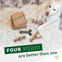 Benebone Small 4-Pack Dog Toys for Aggressive Chewers – Durable Dog Bones, Made in USA – Dog Toys for Small Dogs Under 30 lbs Small 4 Pack