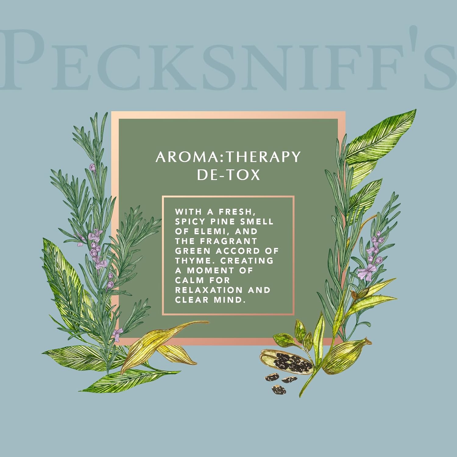 Pecksniff's Aroma:Therapy De-Tox 500 ml/16.9 fl oz Hand Wash De-Tox 16.9 Fl Oz (Pack of 1)