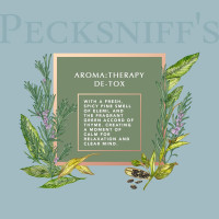 Pecksniff's Aroma:Therapy De-Tox 500 ml/16.9 fl oz Hand Wash De-Tox 16.9 Fl Oz (Pack of 1)