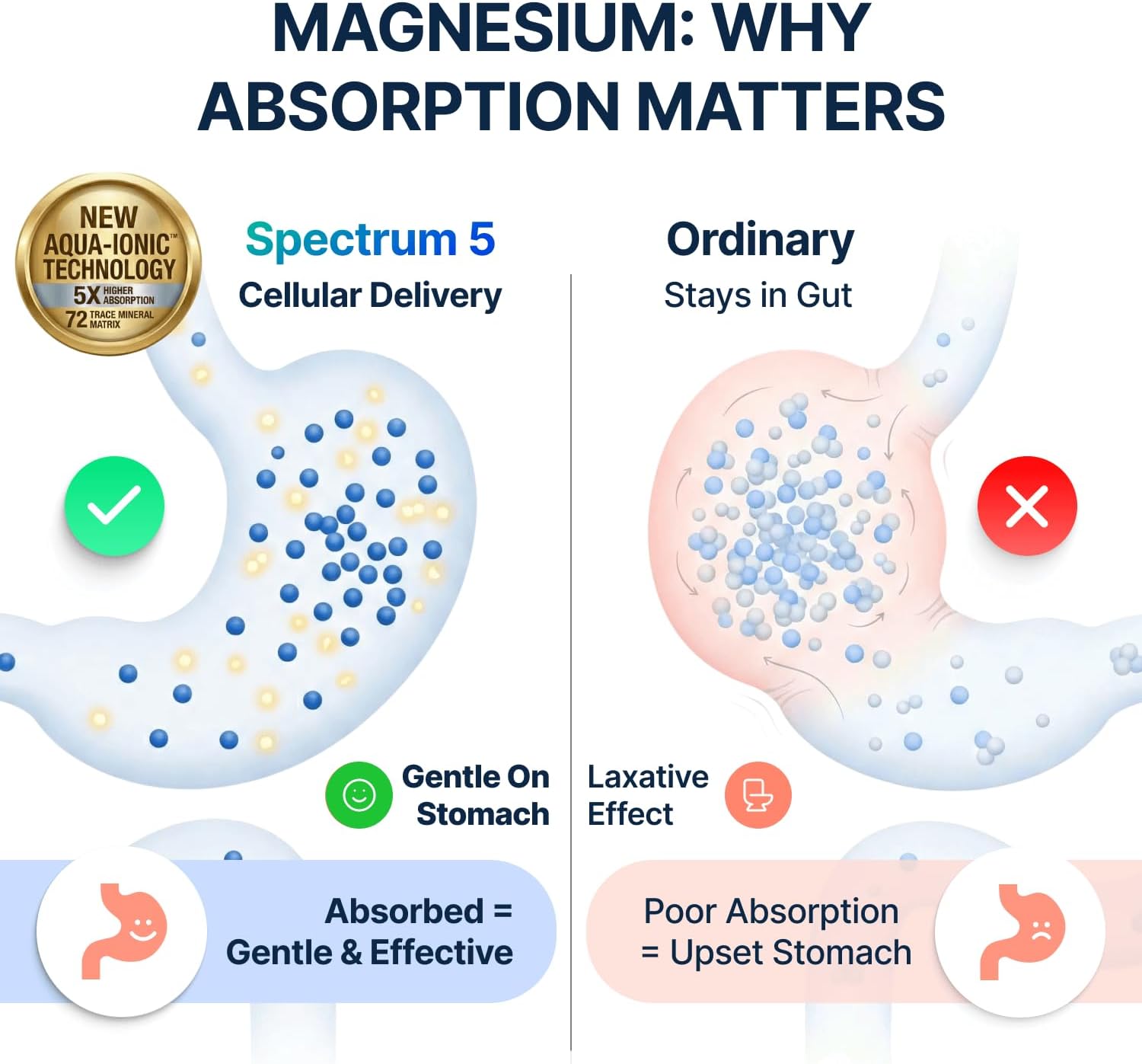 Spectrum 5 Magnesium Complex for Women & Men | Patented Aqua-Ionic® 5X Absorption Technology | 500mg Glycinate, Citrate, Malate + 72 Trace Minerals | Deep Sleep, Leg Cramp Relief & Calm | Non-Laxative 60 Count (Pack of 1)