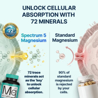 Spectrum 5 Magnesium Complex for Women & Men | Patented Aqua-Ionic® 5X Absorption Technology | 500mg Glycinate, Citrate, Malate + 72 Trace Minerals | Deep Sleep, Leg Cramp Relief & Calm | Non-Laxative 60 Count (Pack of 1)
