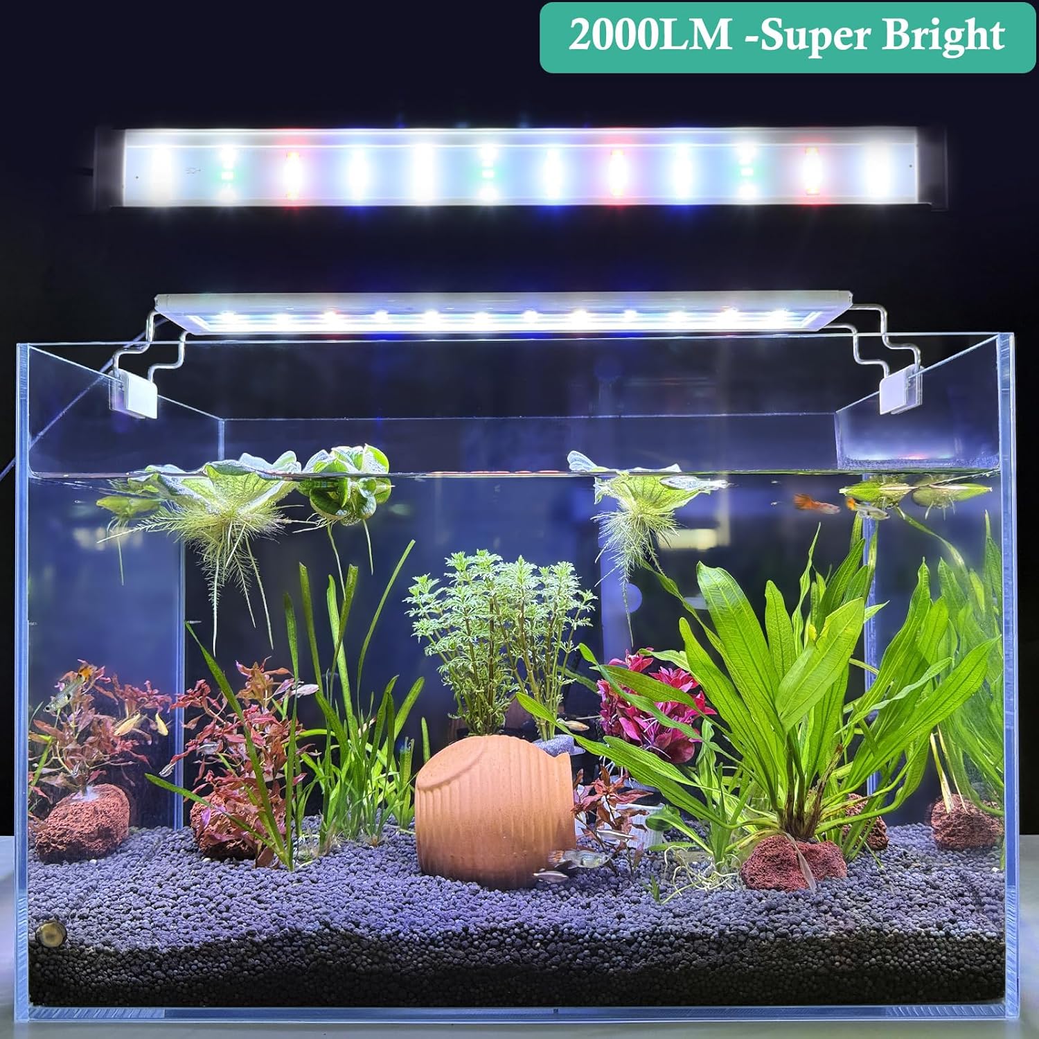 HITOP Full Spectrum LED Aquarium Light – 16-24” Classic Fish Tank Light with Timer, Aquarium Plant Light with Stable Extendable Brackets (16-24in)