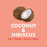 SheaMoisture Kids Coconut & Hibiscus Extra-Moisturizer Detangler, 8 Fl Oz: Beauty