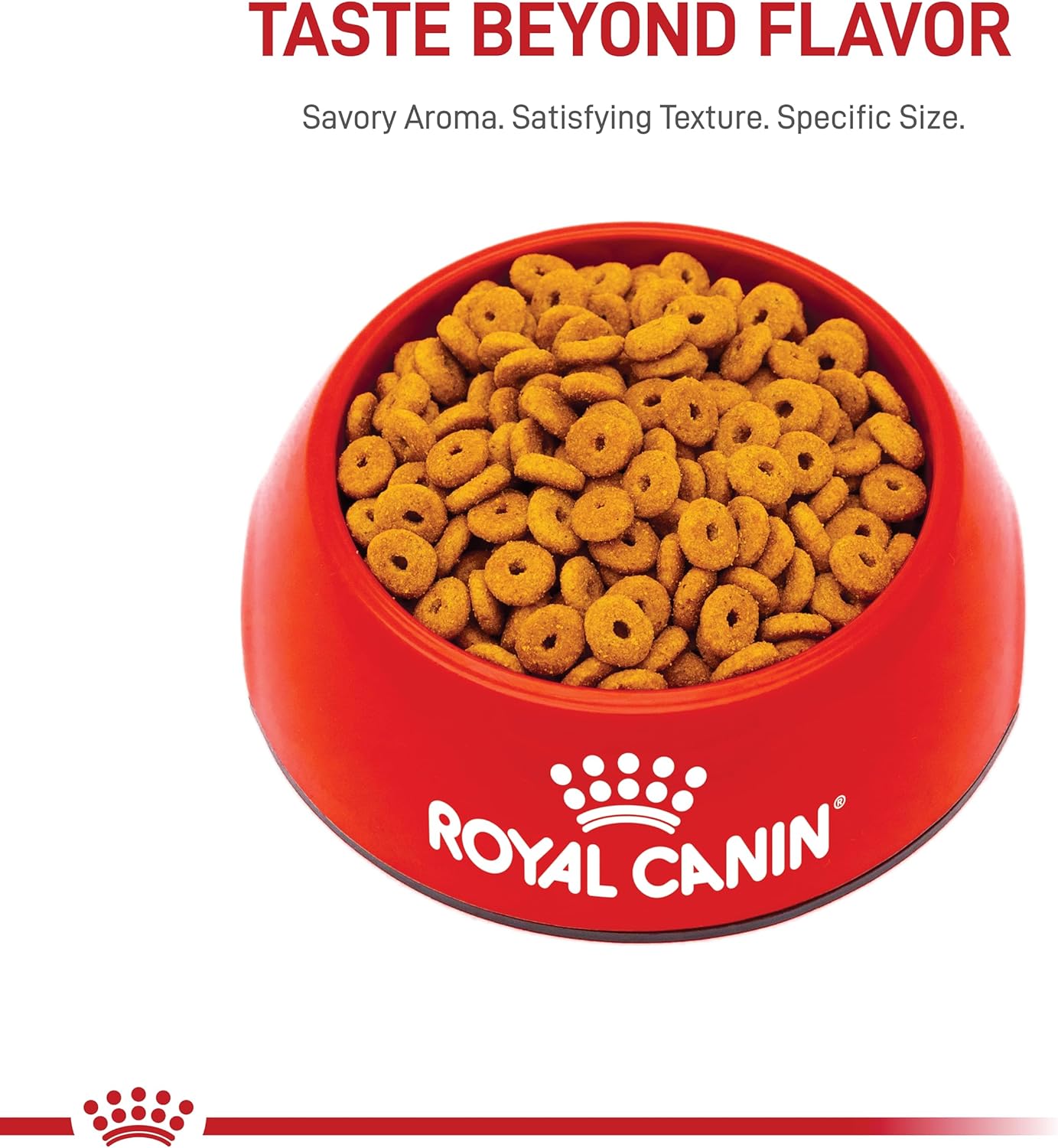 Royal Canin Feline Care Nutrition Appetite Control Care Adult Dry Cat Food, 6 lb Bag 6 Pound (Pack of 1) Kibble
