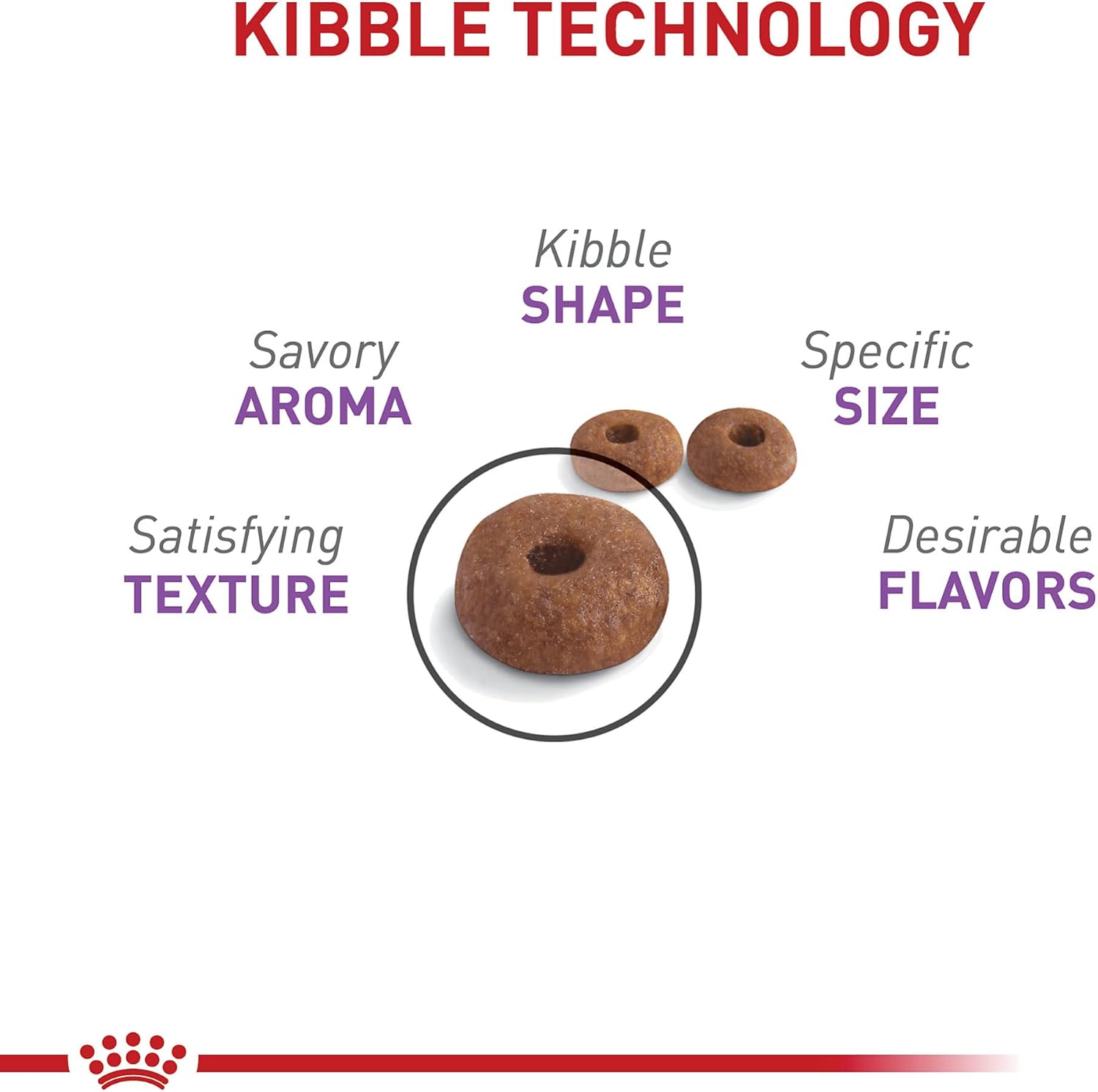 Royal Canin Feline Care Nutrition Appetite Control Care Adult Dry Cat Food, 6 lb Bag 6 Pound (Pack of 1) Kibble