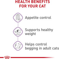 Royal Canin Feline Care Nutrition Appetite Control Care Adult Dry Cat Food, 6 lb Bag 6 Pound (Pack of 1) Kibble