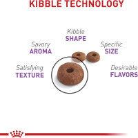 Royal Canin Feline Care Nutrition Appetite Control Care Adult Dry Cat Food, 6 lb Bag 6 Pound (Pack of 1) Kibble