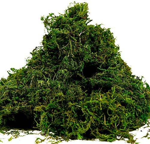  Alphatool 35 OZ Large Capacity Fake Moss for Potted