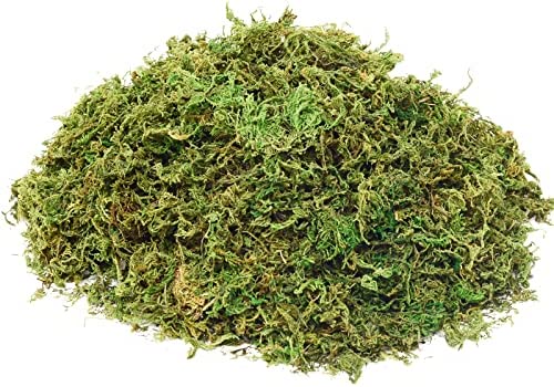 Usmola Fake Moss, Artificial Green Moss for Potted Plants Fairy