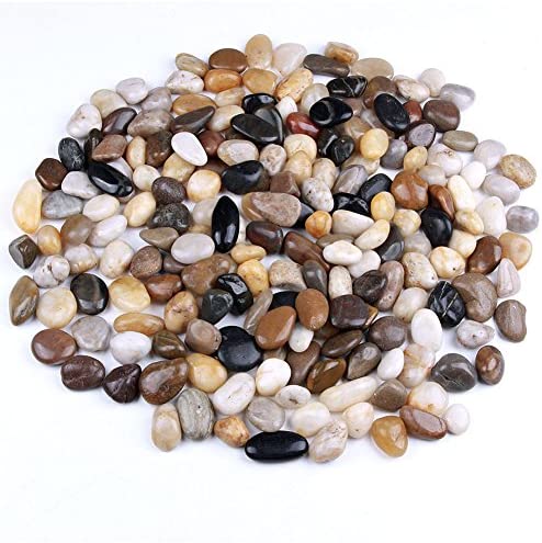 Decorative Rocks WholeSale - Price List, Bulk Buy at