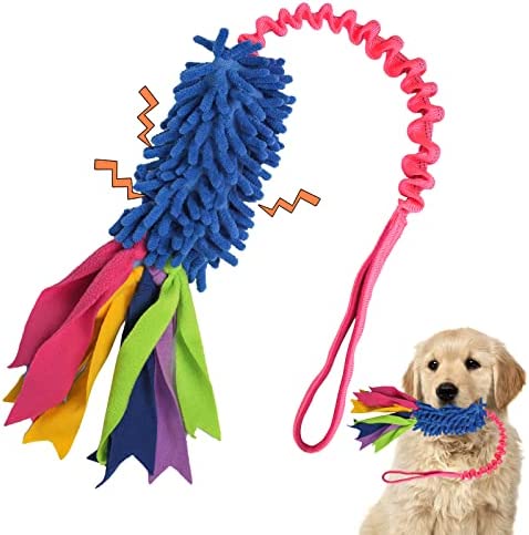 Vitalili 2Pcs Dog Training Ball on Rope Dog Rope Toys Ball Exercise and  Reward Toy for Dogs for Chew Training Pull Throw Toy tug Toy Dogs Fetch  Toys