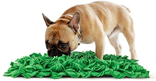 Tamu style Dog Snuffle Mat for Feeding, Hunting, Foraging (12½" x 18½") Playful Food and Treat Surface & Small, Medium, Large Breed Pets & Durable, Reusable, Machine Washable: Pet Supplies