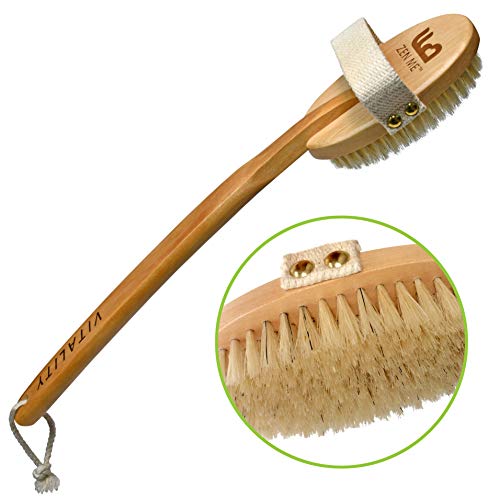 Premium Dry Brush for Cellulite and Lymphatic Massage for Glowing Tighter Skin – Plastic-Free Natural Bristle Body Brush with Long Handle to Easily Exfoliate Dry Skin : Beauty